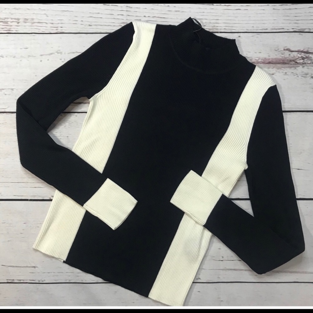 NWOT ZARA knit turtleneck sz S